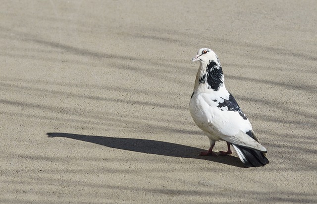 還擊
