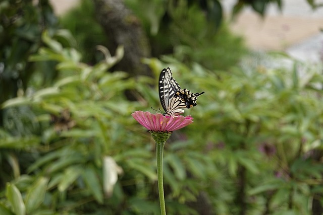 重细节