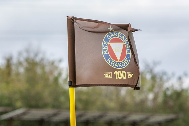 们竞逐冠军 们竞逐冠军