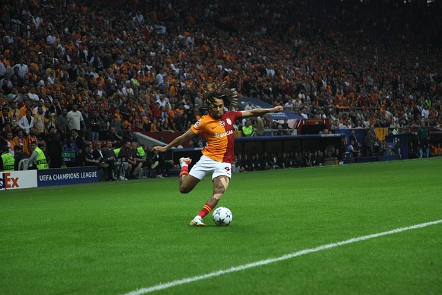 的精彩足球 的精彩足球