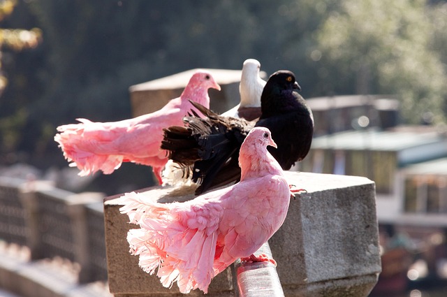 精准的射术 精准的射术