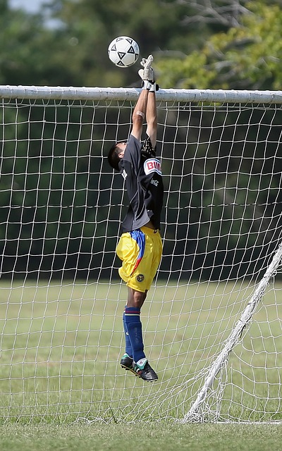 的最佳时机 的最佳时机