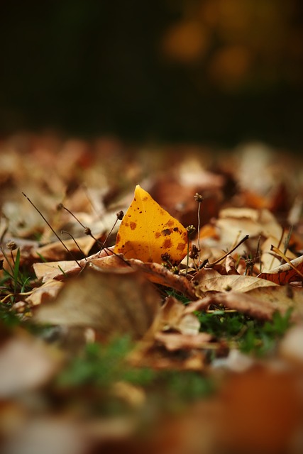 以及出色的 以及出色的