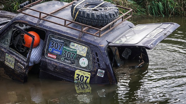 质疑声也随 质疑声也随
