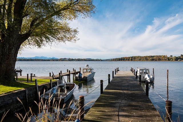 心内容进行 心内容进行