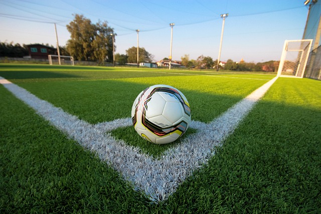 集体资产管